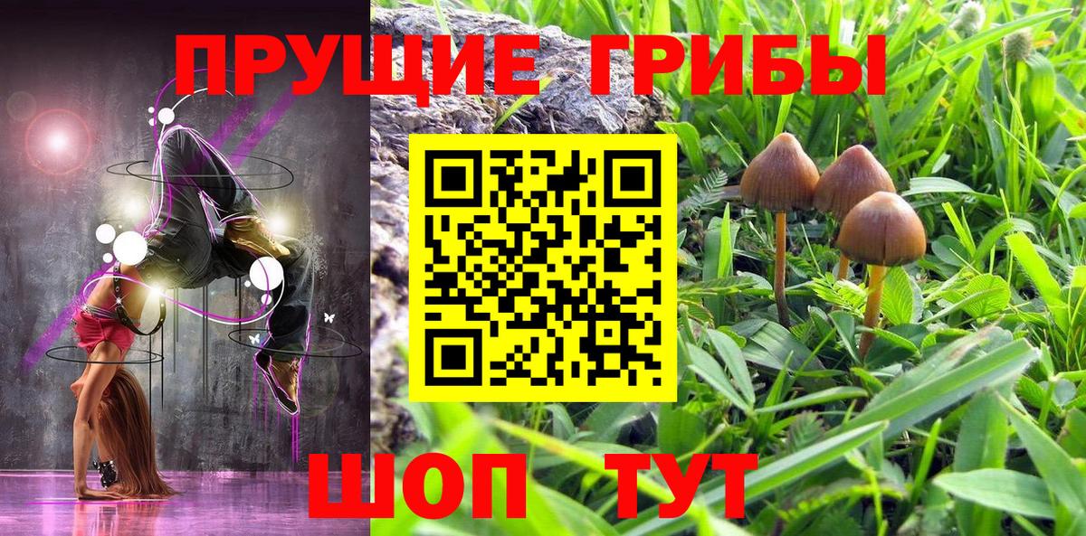 Галлюциногенные грибы прущие грибы Лениногорск