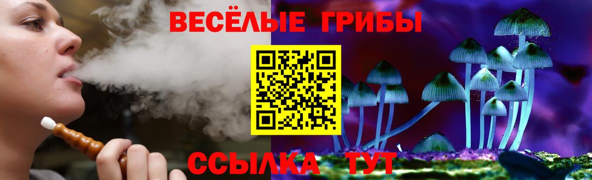 Галлюциногенные грибы Psilocybe  закладки  Лениногорск  Вход с VPN 